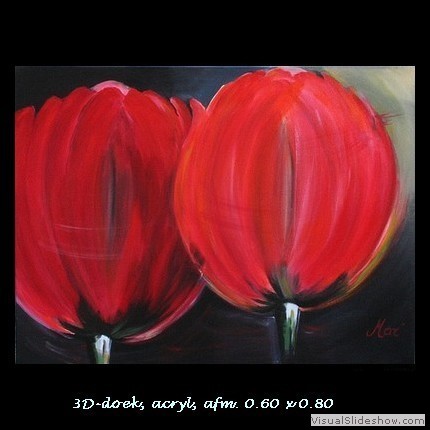 Rode tulpen (verkocht)