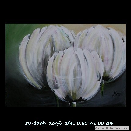 3 Witte tulpen