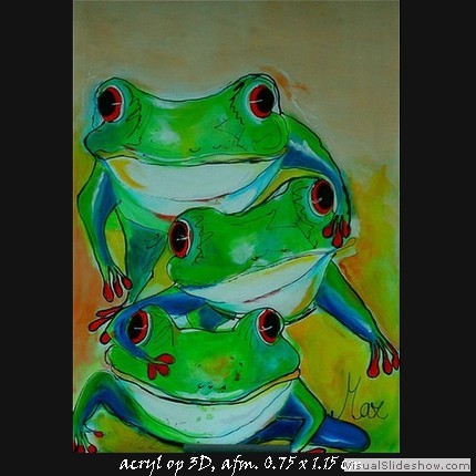 Piramide frogs (verkocht)